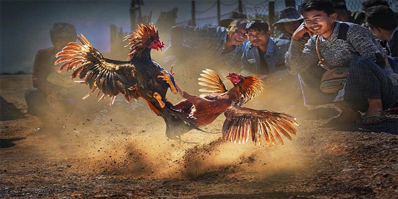 suncity888 chơi bắn cá đổi thưởng