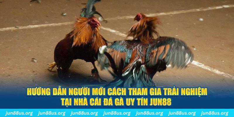 suncity888 CQ9 Điện Tử