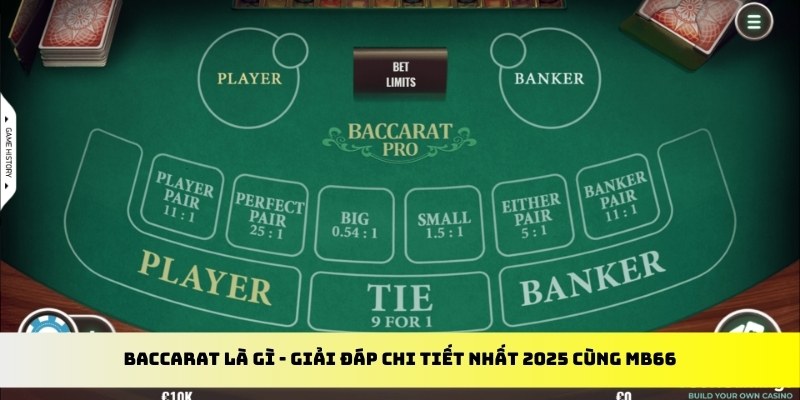 suncity888 gà chọi cu cần