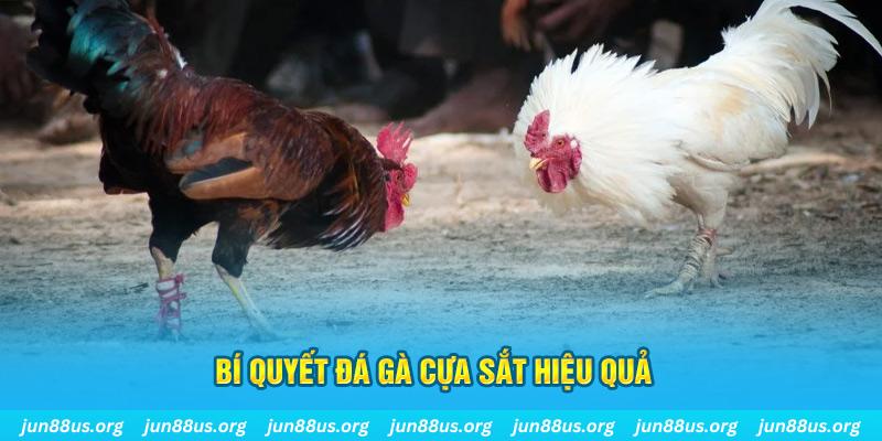 suncity888 xin 1 slot là gì