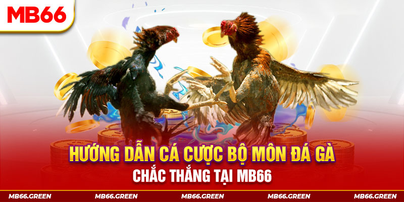 suncity888 bắn cá nổ hũ