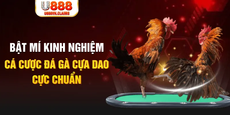suncity888 tỷ lệ cá cược châu á là gì