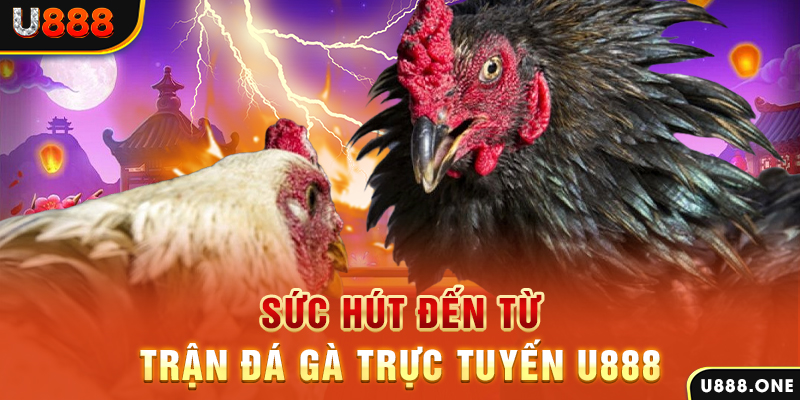 suncity888 nổ hũ b29 là gì