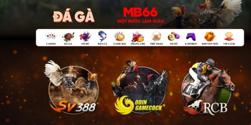 suncity888 đăng nhập poker số 1