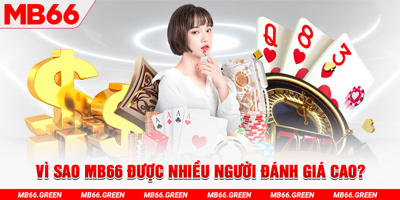 suncity888 đá gà