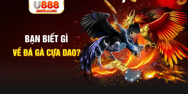 suncity888 nổ hủ là gì