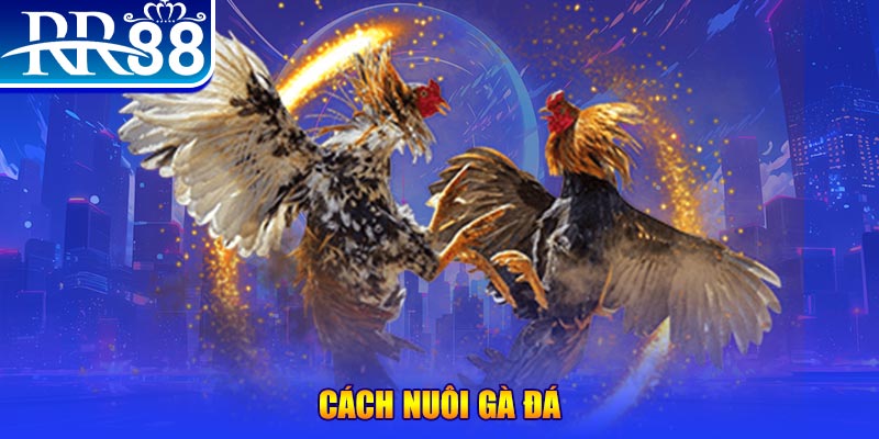 suncity888 xổ số an giang