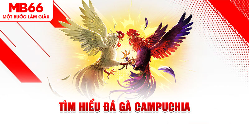 suncity888 game đánh bài trên máy tính