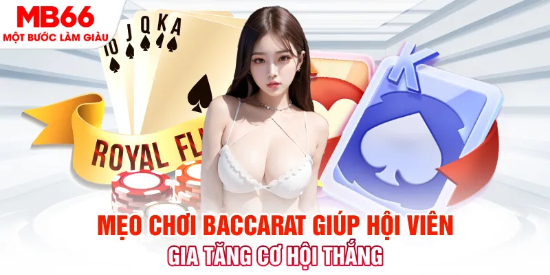 suncity888 Phi Đội Ưu Tú