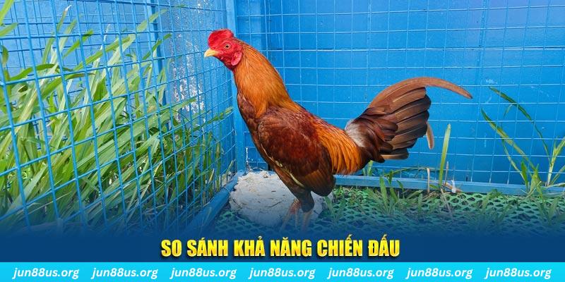 suncity888 tai game dau bai yugioh cho may tinh