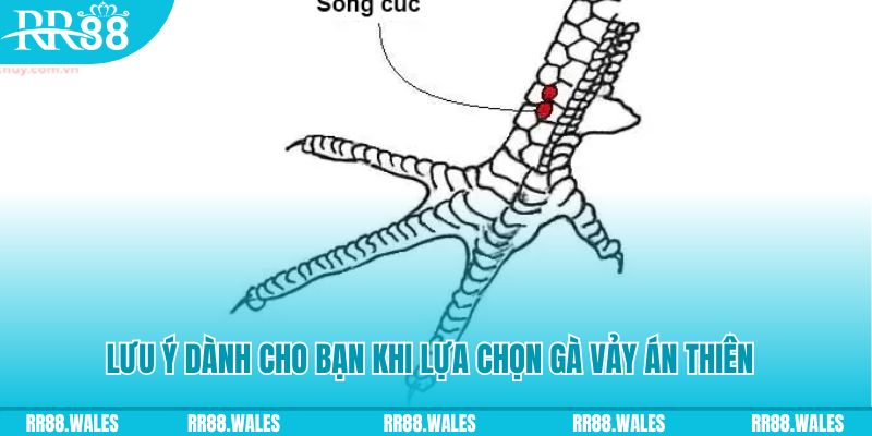 suncity888 xổ số đồng nai