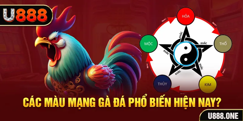 suncity888 trực tiếp đá gà 88
