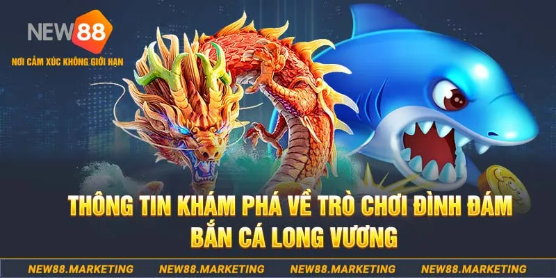 suncity888 baccarat lừa đảo như thế nào