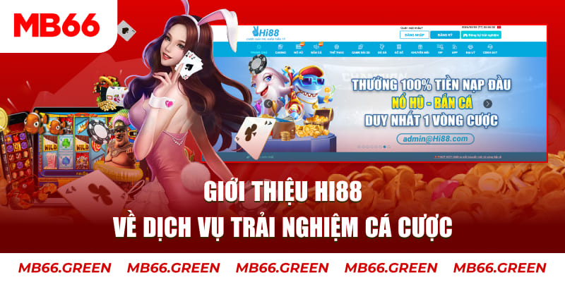 suncity888 ga choi hoa phong