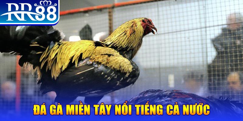 suncity888 JILI Game Bài 3d