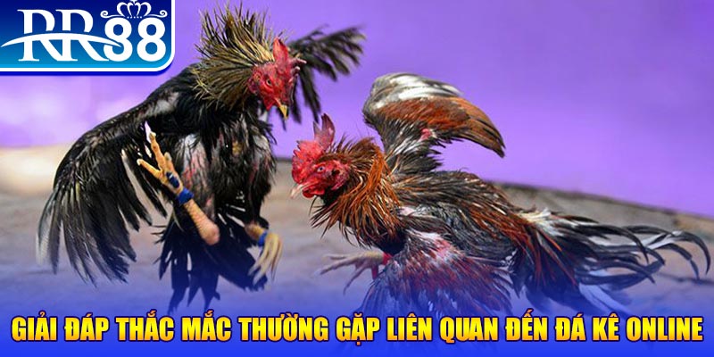 suncity888 xổ số đà lạt