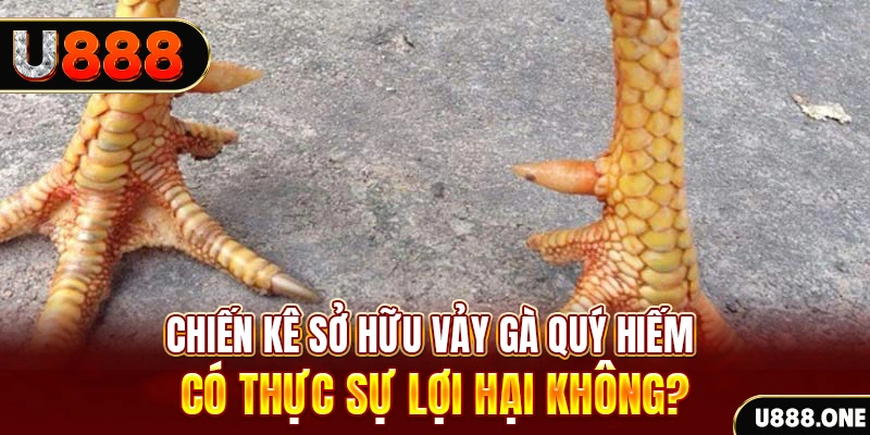 suncity888 nohu .mx nổ hủ là gì
