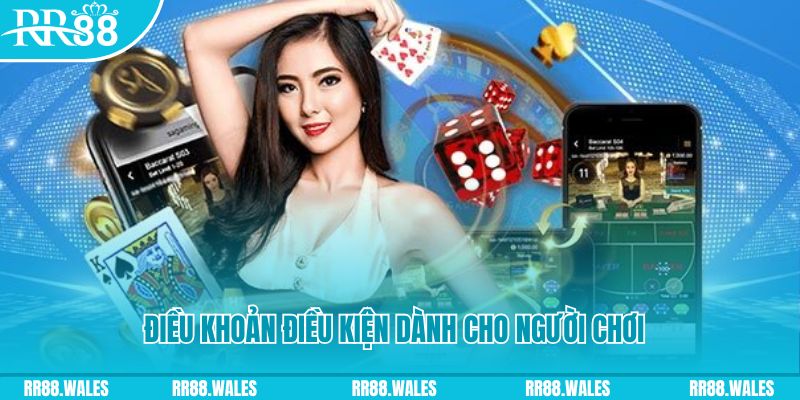 suncity888 casino gồm những gì