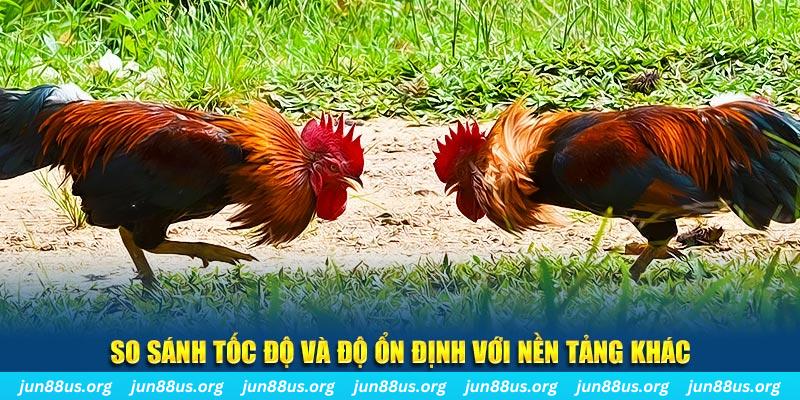suncity888 đá gà hôm nay