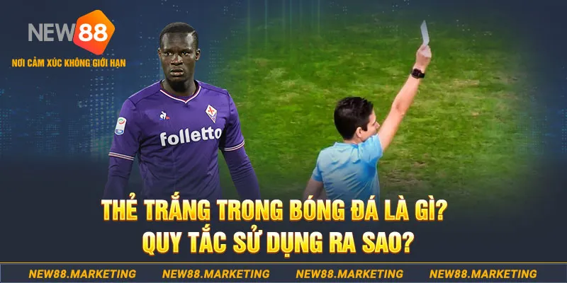 suncity888 gà chọi mộc hóa