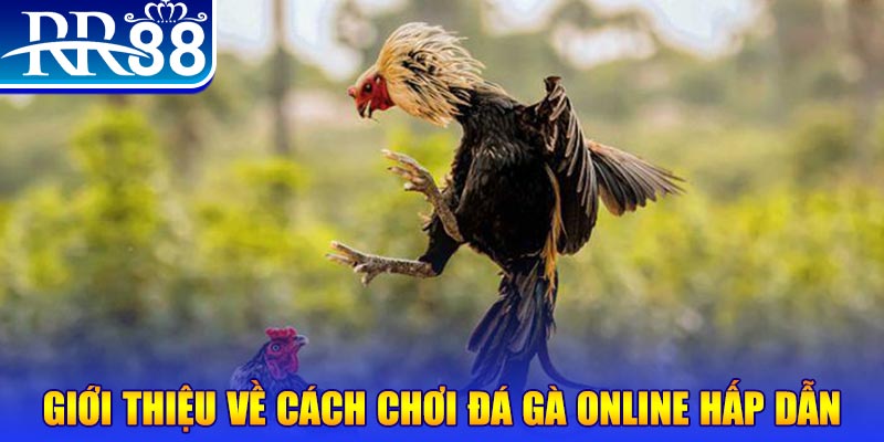 suncity888 game nổ hũ rút tiền mặt là gì