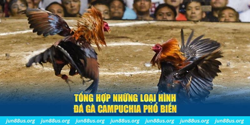 suncity888 đăng nhập nổ hũ 2024