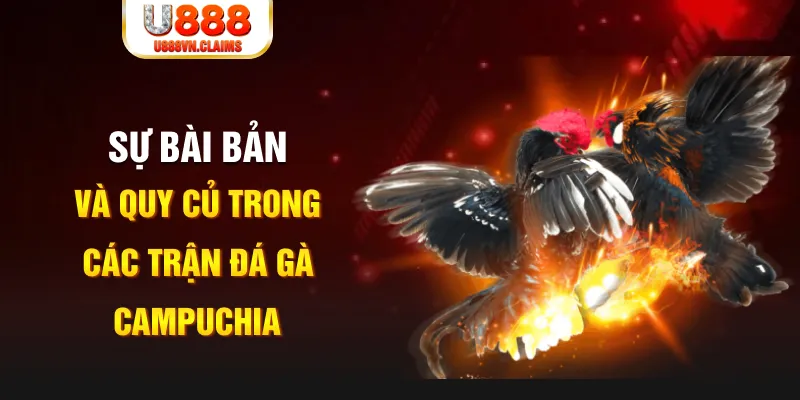 suncity888 YGR Điện Tử