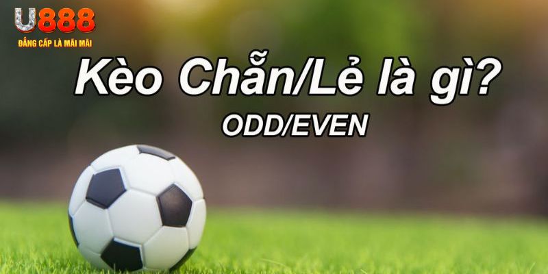 suncity888 đăng nhập poker hôm nay