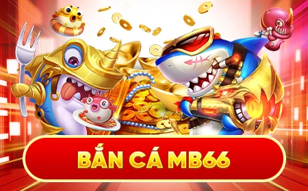 suncity888 Bữa tiệc dành cho thanh thiếu niên 20-20