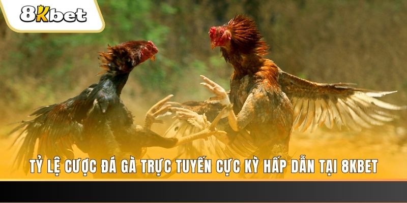 suncity888 xổ số trực tiếp miền bắc