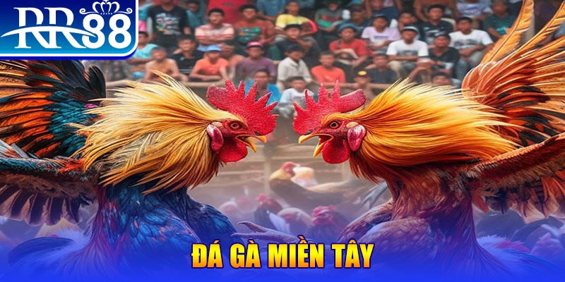 suncity888 đăng nhập nổ hũ