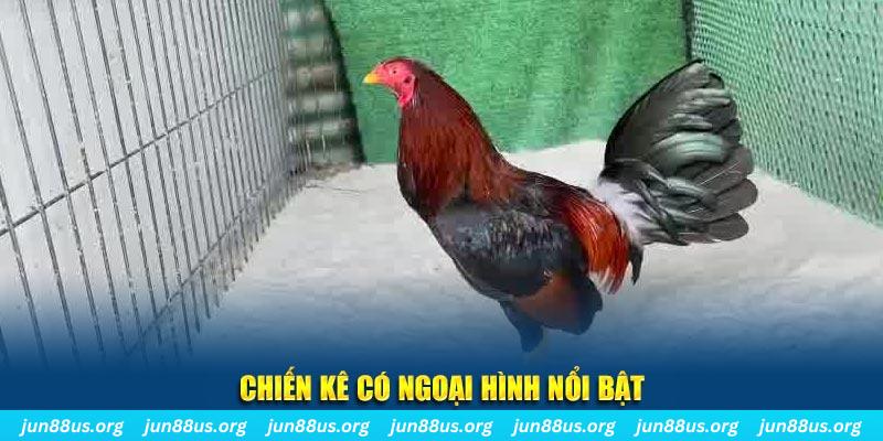 suncity888 chạy quảng cáo cho game bài bị phạt như thế nào