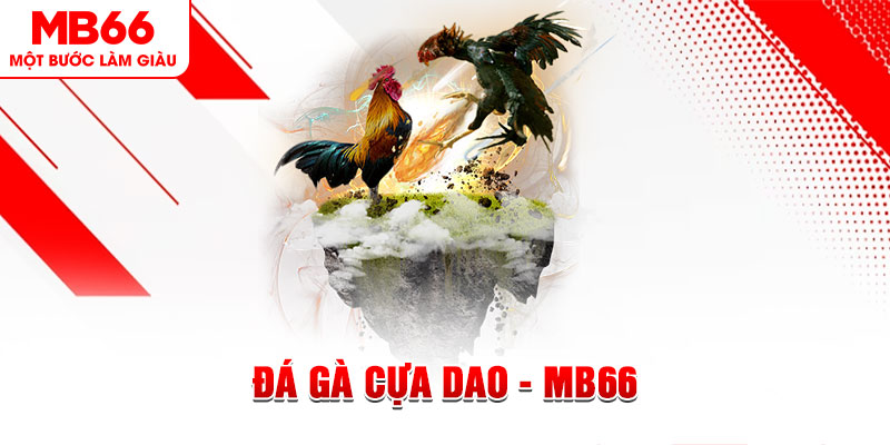 suncity888 đá gà sv388 gold
